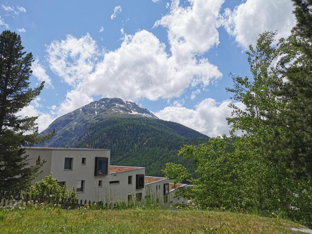 Ferienwohnung Pontresina - Chesa Andrea - Gartensitzplatz Exterior photo